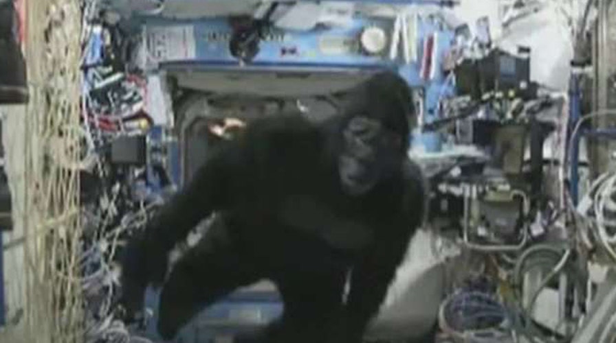 'Apes' in space! Scott Kelly goes bananas on ISS