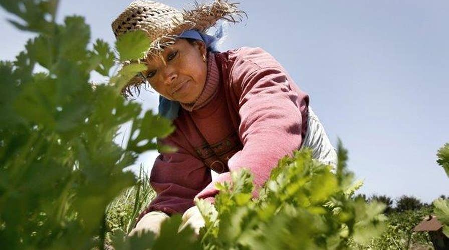 Are some foreign worker programs necessary for business?