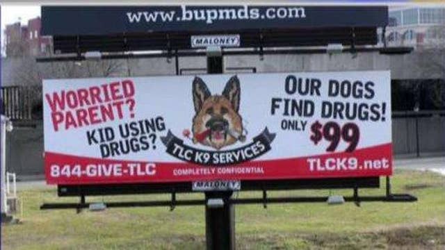 Parents employ drug-sniffing dog to search kids' rooms