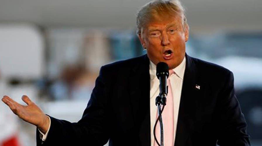 Democratic groups reportedly organizing against Trump