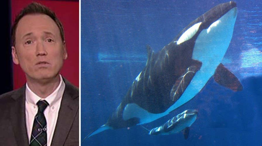 Shillue: Groups like PETA won't be happy until tables turned