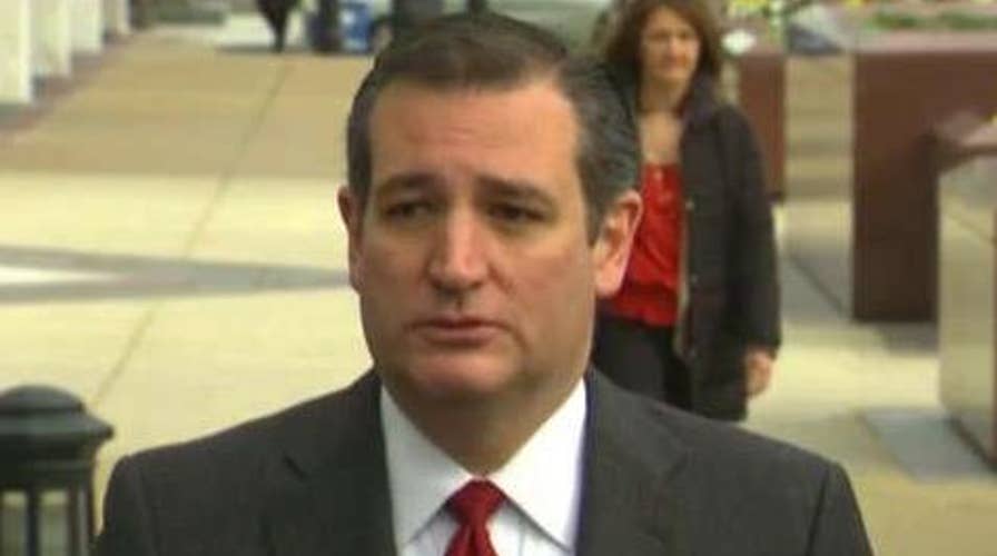 Cruz calls for immediate halt to Syrian refugees in US