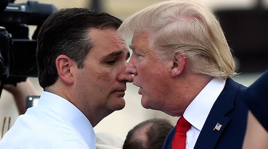 Ted Cruz's plan to defeat Donald Trump