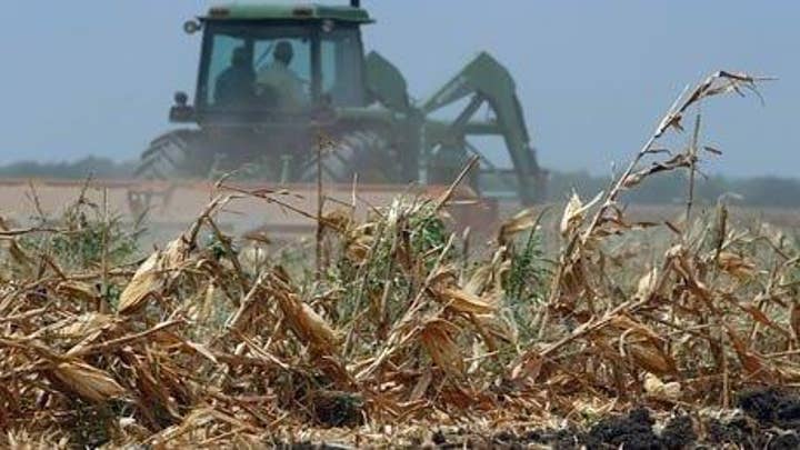 Foreign companies buying farmland in drought-stricken states