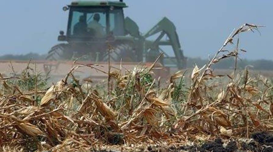 Foreign companies buying farmland in drought-stricken states