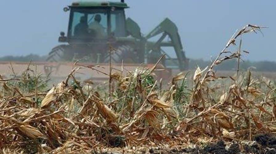 Foreign companies buying farmland in drought-stricken states