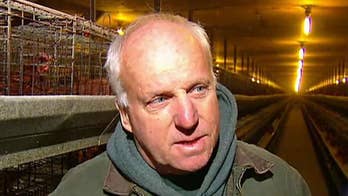 Farmers fight ballot measure aimed at giving animals more room to breathe