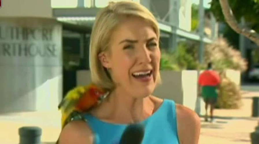 Kennedy's Topical Storm: Newscasters Attacked On-Air