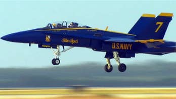 San Francisco pol wants flyover ban so Blue Angels can't 'strafe' city