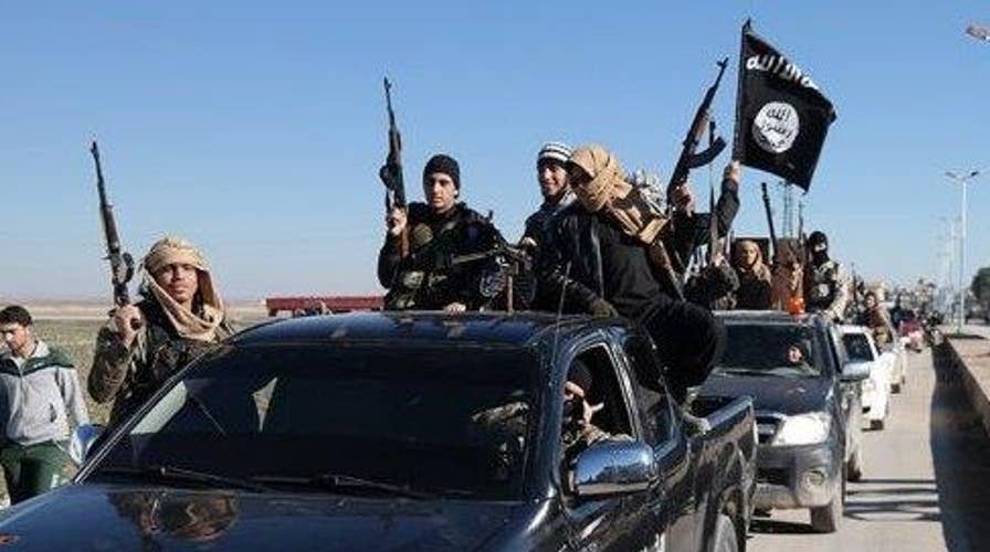 Pentagon provides update on US fight against ISIS
