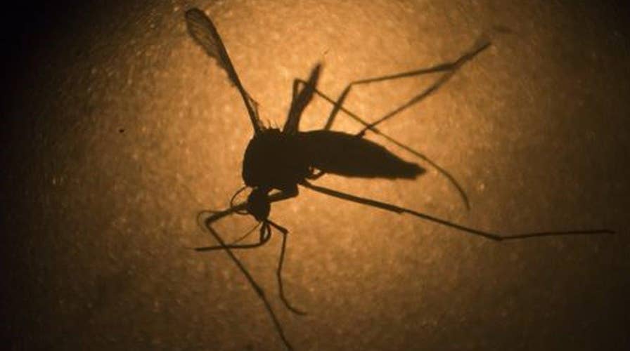 Health officials sound the alert over Zika virus