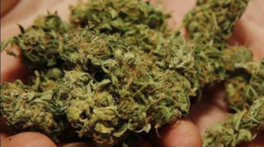 Should schools be forced to allow cannabis on campus?