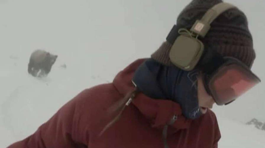 Is video of bear chasing snowboarder too good to be true?