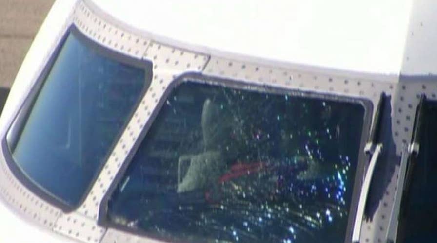 Bird strike forces passenger jet to make emergency landing