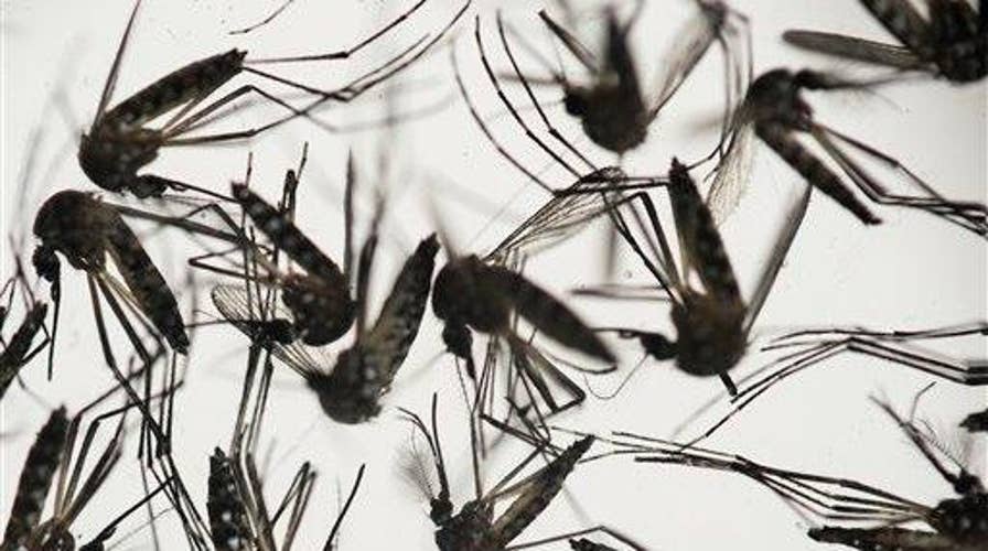 How to best protect against the Zika virus 