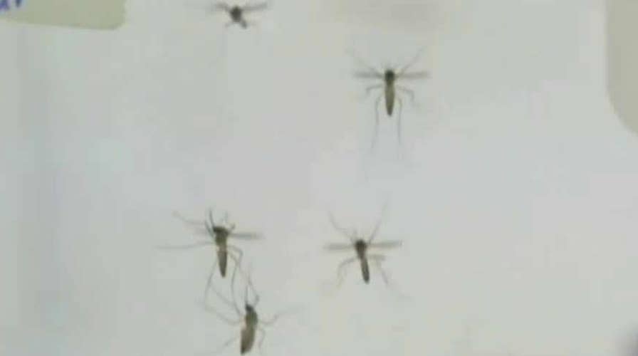 FDA gives emergency approval for Zika virus diagnostic tests