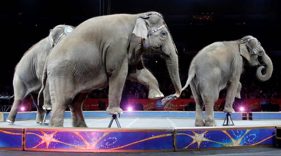 End of an elephant era: Ringling Bros. ends iconic act