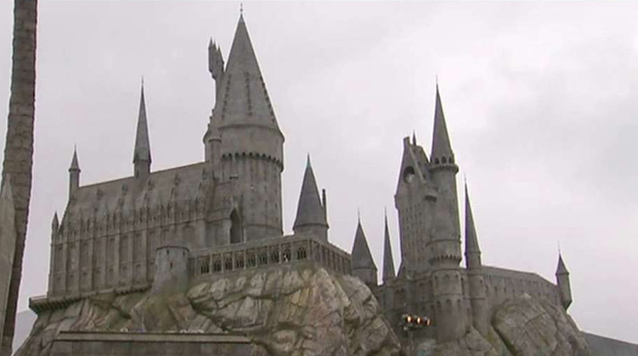 In the FoxLight: Harry Potter World