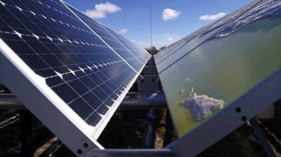 Democrats promote green energy in campaign platforms