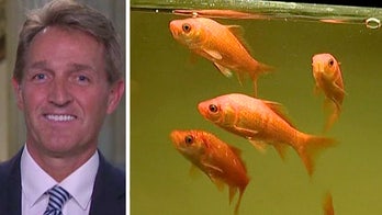 SEN. JEFF FLAKE'S LIST OF WASTEFUL GOV'T RESEARCH STUDIES