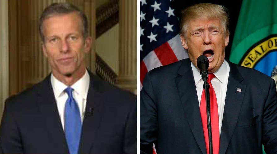 Sen. Thune: I would love to see Trump 'tone it down'