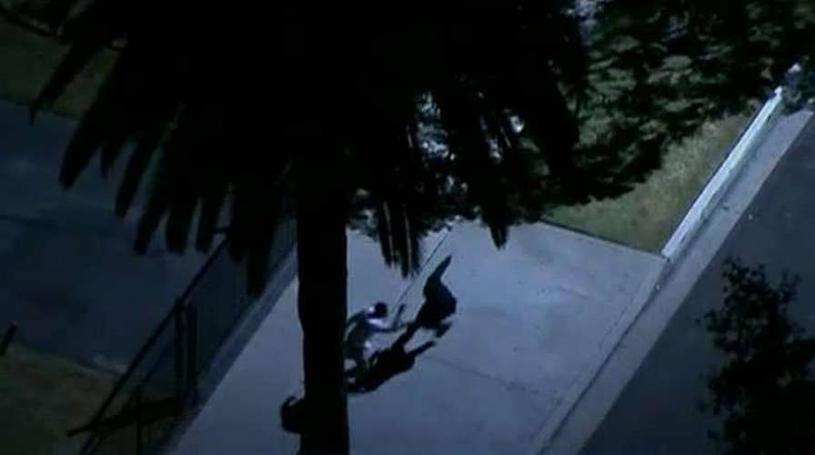 Woohoo! Oh yeah! Reporter covering chase gets really into it