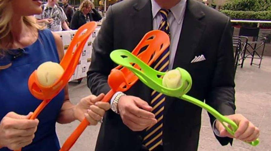 Smart pet gear for summer adventures