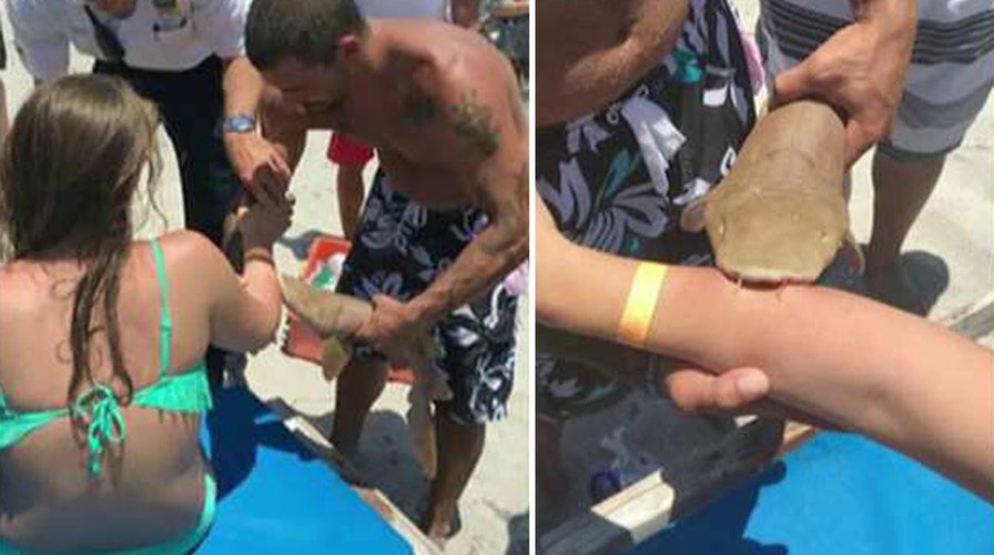 Shark bite victim goes to hospital with shark still attached