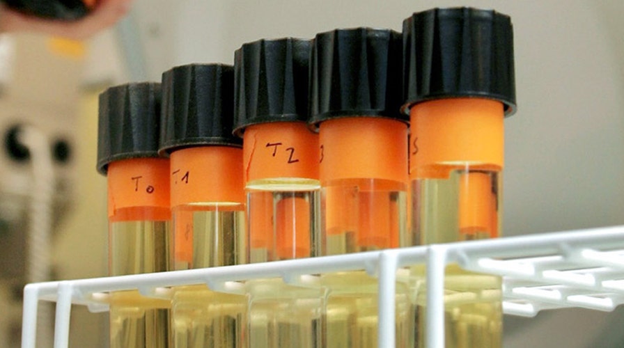 Employers struggling to find workers who can pass drug tests