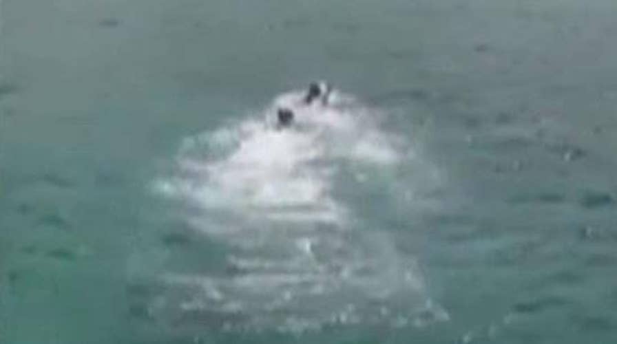 Video: Plane crash survivors swim to shore in Hawaii