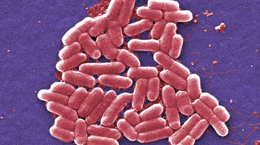 Deadly superbug could be spell end of antibiotics