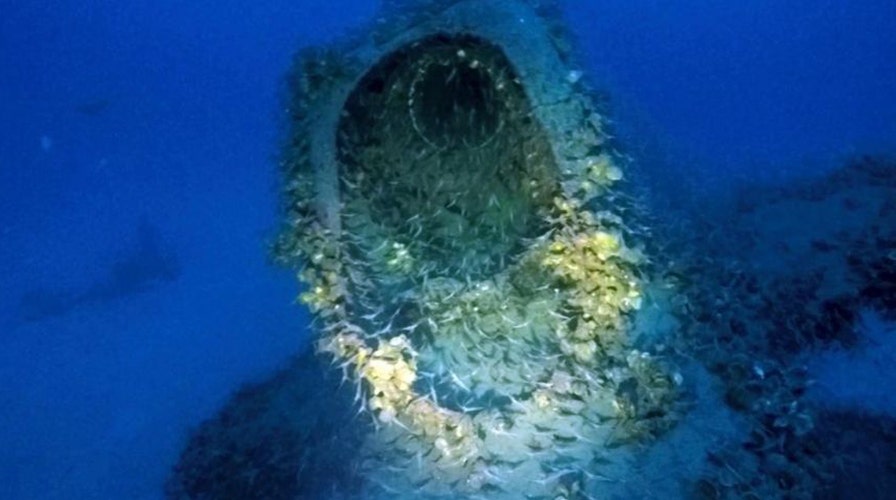 Diver claims to have found long-lost World War II submarine