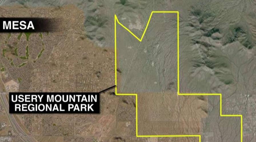 Bees sting hiker to death in Arizona