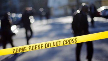 2 suspects arrested in shooting of Georgia sheriff's deputy