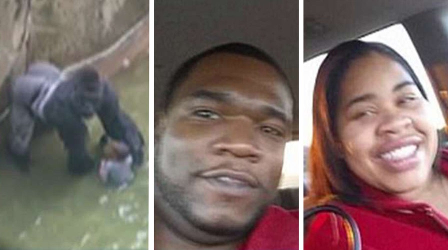 Parents of boy who fell in gorilla pit could face charges