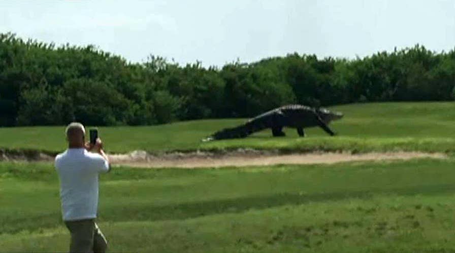 Kennedy's Topical Storm: Hello from the Angry Side