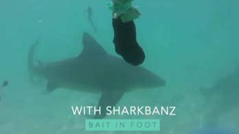 Shark kills Australian diver in second deadly attack in days