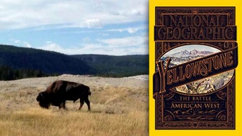 America's coolest national parks you didn't know you needed to see