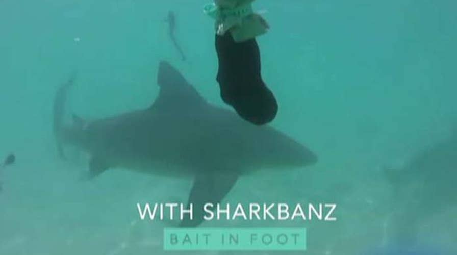 Technology that helps swimmers and surfers fend off sharks