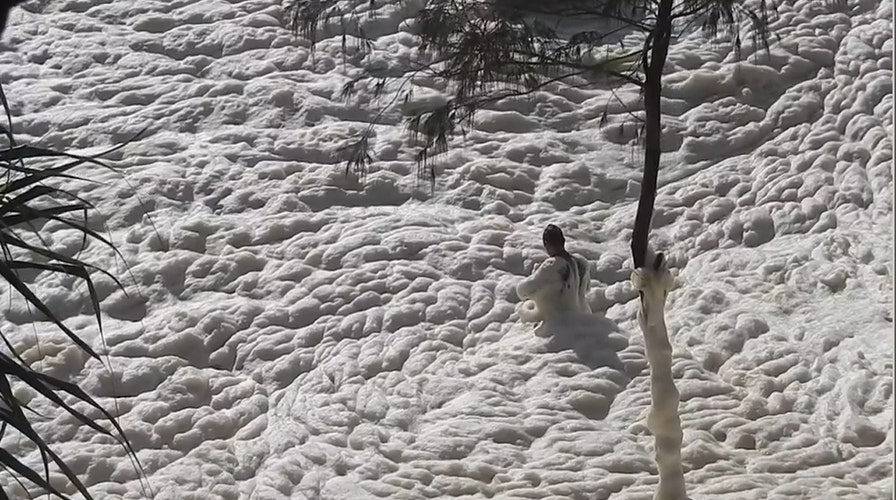 Sea foam submerges beachgoer in Australia