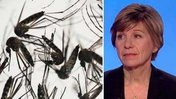House passes $1.1B Zika bill despite protests from Democratic leaders