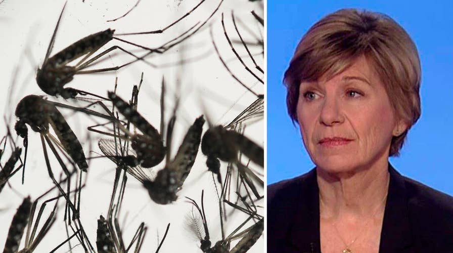 Gates Foundation joins fight against 'serious' Zika problem