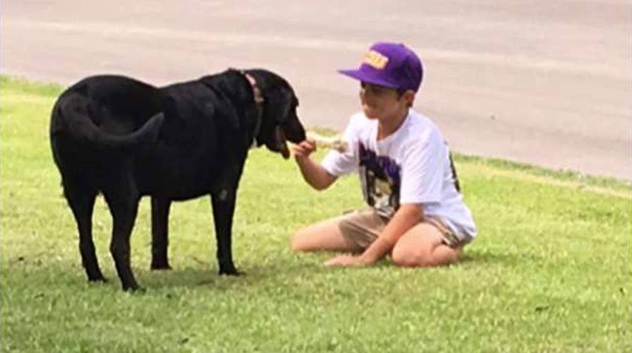 Little boy sneaks into neighbor's garage to hug dog