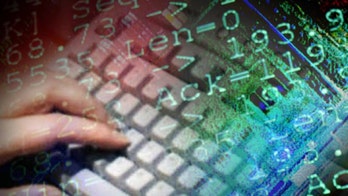 Russian hackers had access to all DNC email communications, co-founder of security firm says