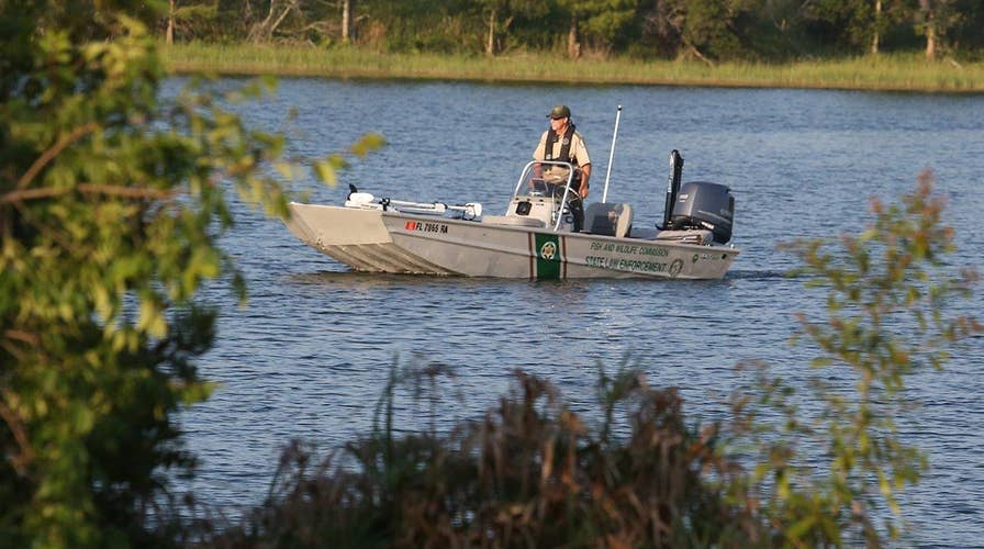 Alligator snatches toddler away in Disney World