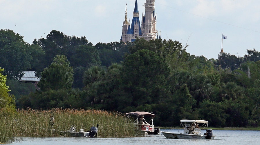 Did Disney do enough to warn its guests about alligators? 