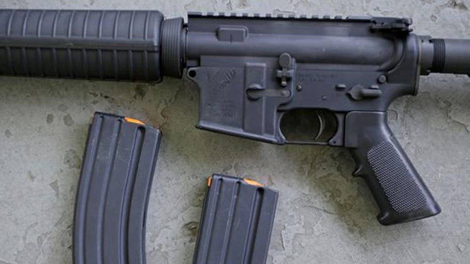 hawaii becomes first state to put gun