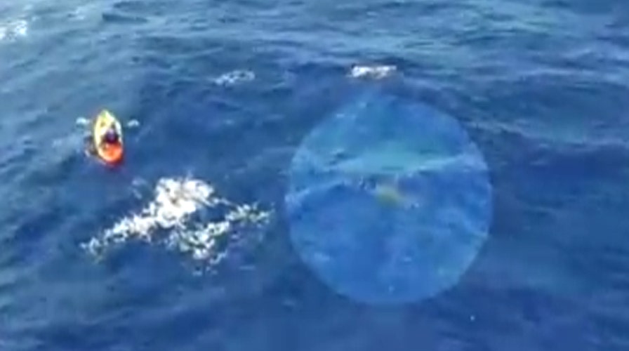 Watch tiger sharks stalk long-distance swimmer