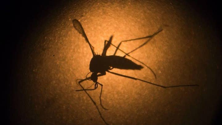 Medical mystery: Caregiver gets Zika from man who died