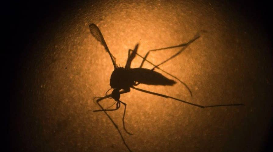 Medical mystery: Caregiver gets Zika from man who died